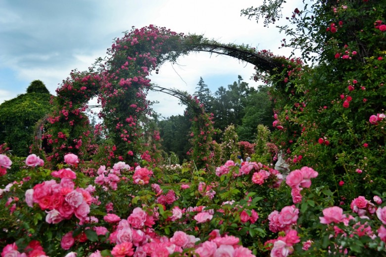 Best Gardens In New England New England Today