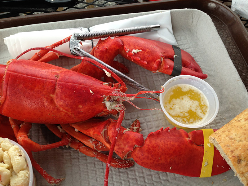 12 Best Lobster Shacks in New England