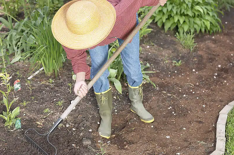 Weeding Tips