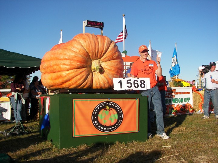 This 1,568 pounder was the largest pumpkin in the world in 2008, but it had a small crack and was disqualified at the weigh-off in Frerichs Farm in Warren, RI .