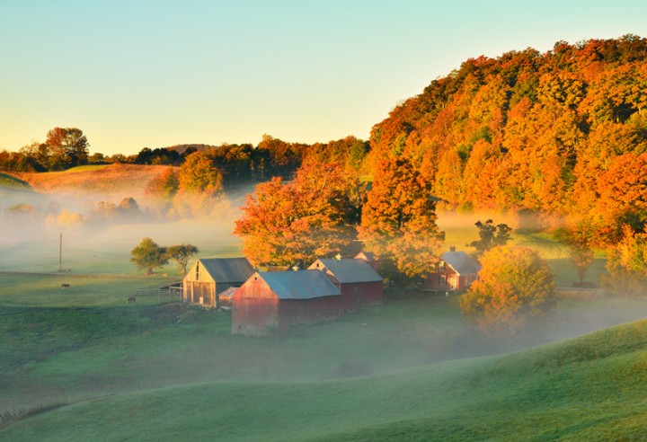 Foggy sunrise at Jenne's Farm in Reading Vermont 
