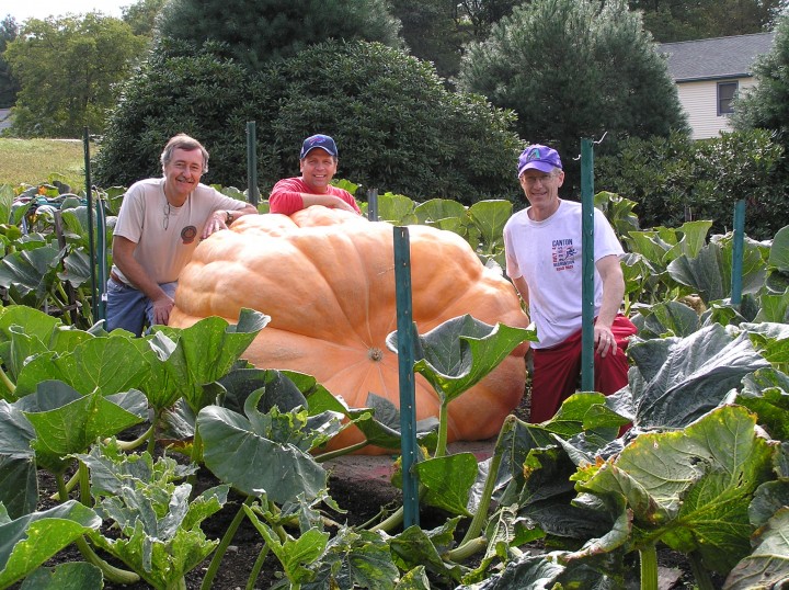 This pumpkin, grown in Steve's garden in Sharon, Massachusetts, tipped the scales at 1,568 pounds. Shown left to right are Joe Jutras, Ron Wallace, and Steve Connolly.