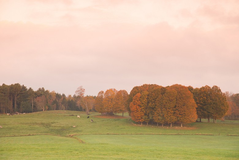 Autumn farmland, Whitefield, ME.