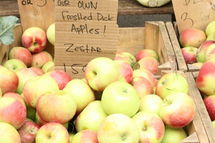 Zestar apples are great for both baking and eating fresh. 