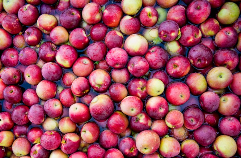10 Best Apples for Apple Pie