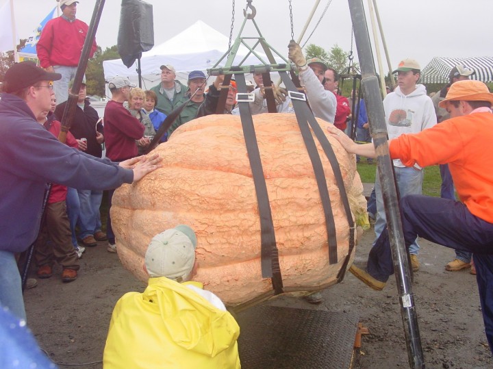 Here's a 1,333 pound pumpkin Steve raised back in 2005 at Frerichs Farm Weigh-off in Warren, RI.