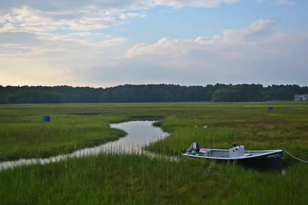 rays rye nh marsh