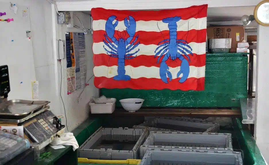 rye harbor lobster tanks