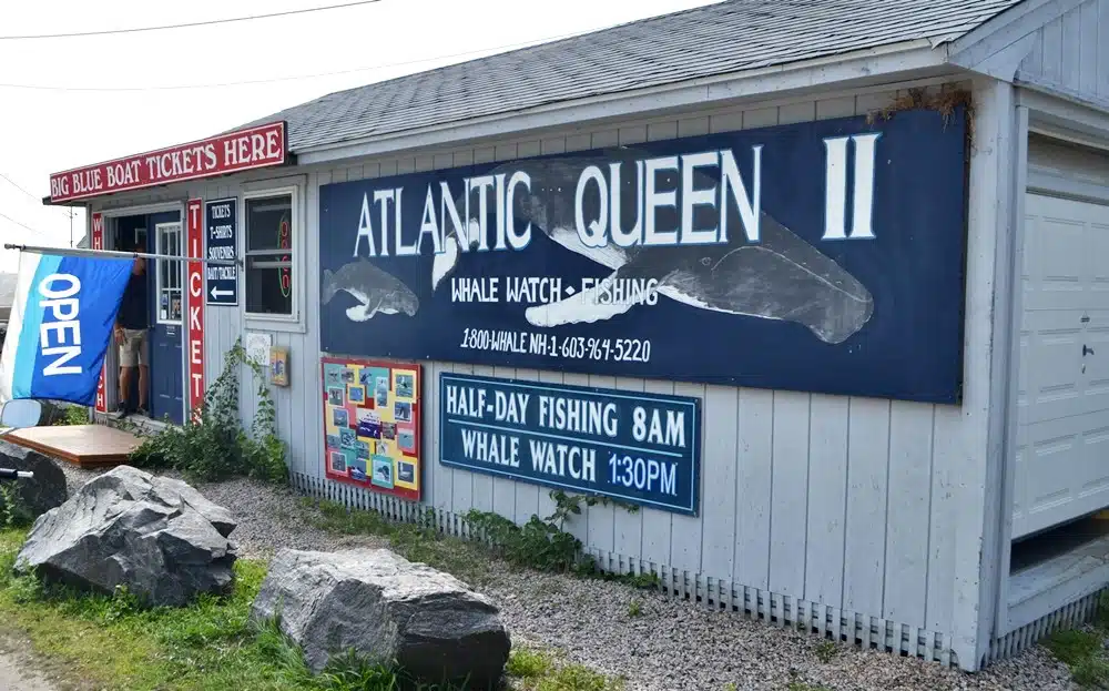 rye harbor whale watch