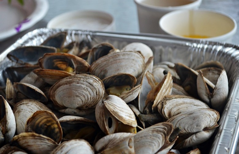 Steamers (Soft Shell Steamed Clams) Recipe