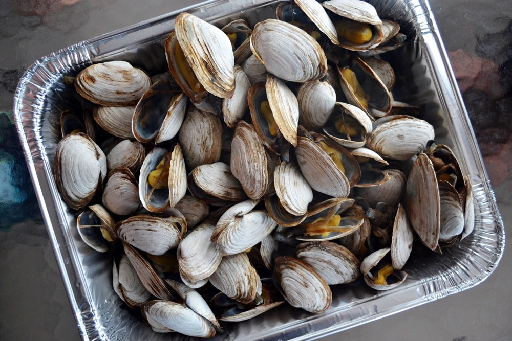 New England Steamed Clams  Guide & Recipes - New England