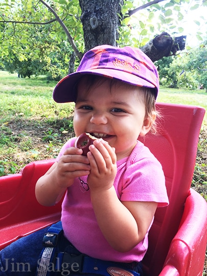 This Past Weekend, My Family Took Our Daughter Apple Picking at Applecrest Orchards.