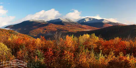 Widespread Color