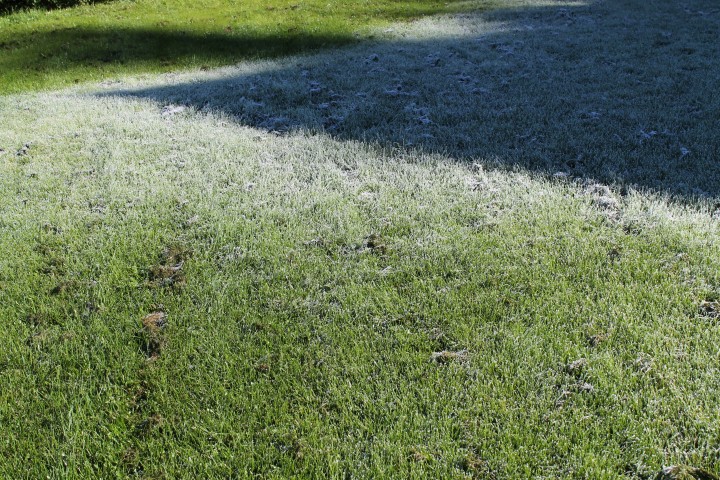 Frost lingering in the late morning shadows