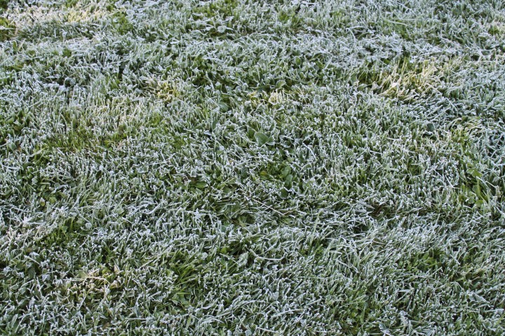 first frost --a hint of what's to come