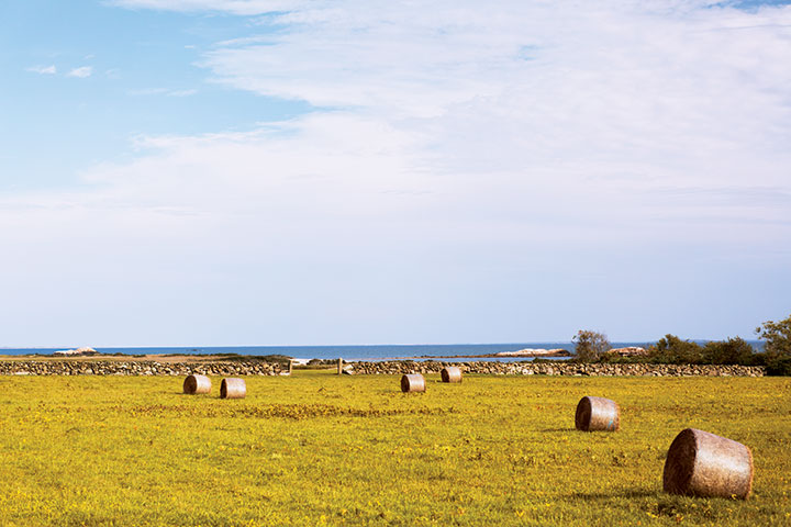 Hay bales and a stunning view along Warren's Point Road (off Route 77), just a couple of miles south of the center of Little Compton.