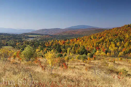 Bright Foliage Emerged Last Week Across Northern New England