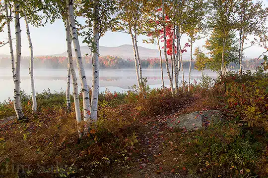 Beautiful Foliage Color Will Be Found Across Most of Northern New England This Weekend!