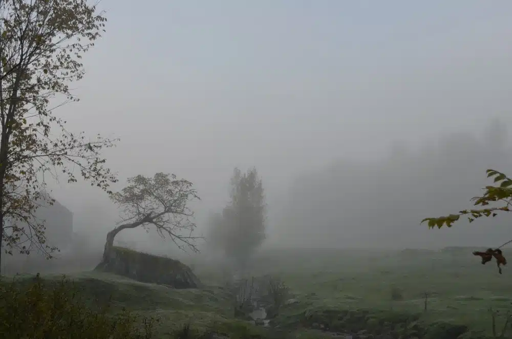 A foggy landscape with a small stream, an old tree leaning to the left, and a house partially visible on the left side. Sparse trees are seen in the background within the fog.