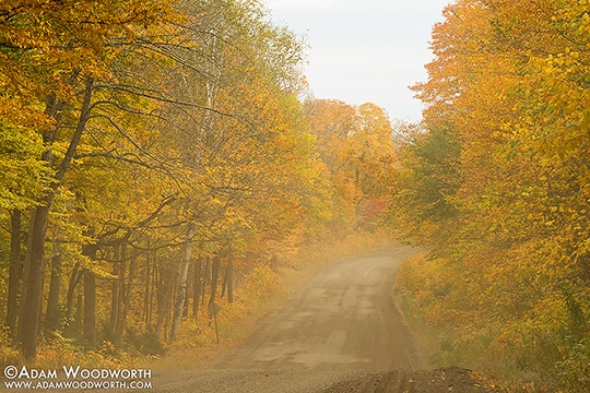 Past Peak Colors Are Still Bright Along Maine's Golden Road