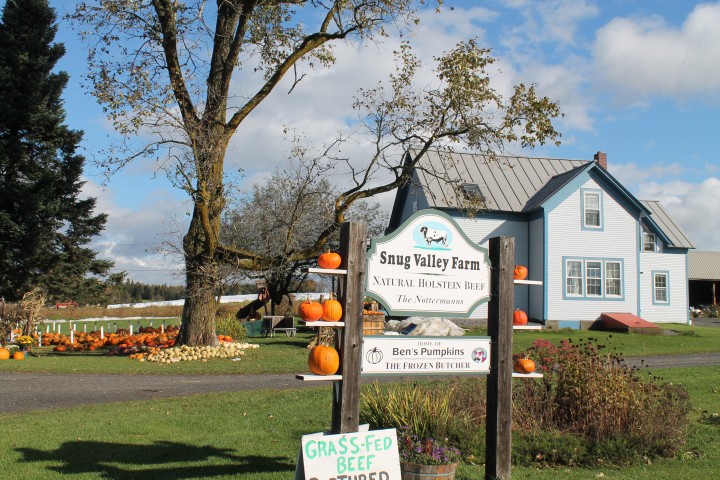 Snug Valley Farm--the home of Ben's Pumpkins