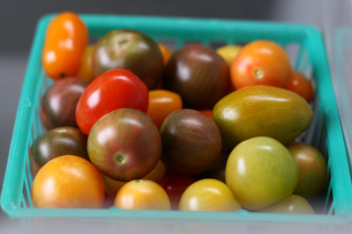 Sweet grape and cherry tomatoes are a favorite among Robert's staff and customers.
