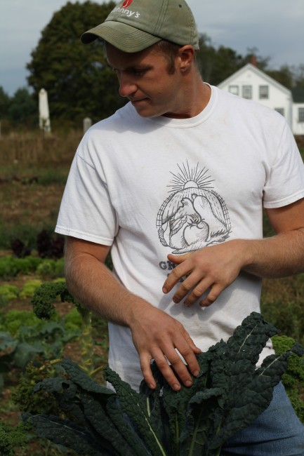 Rick Greenlaw harvesting Tuscan kale