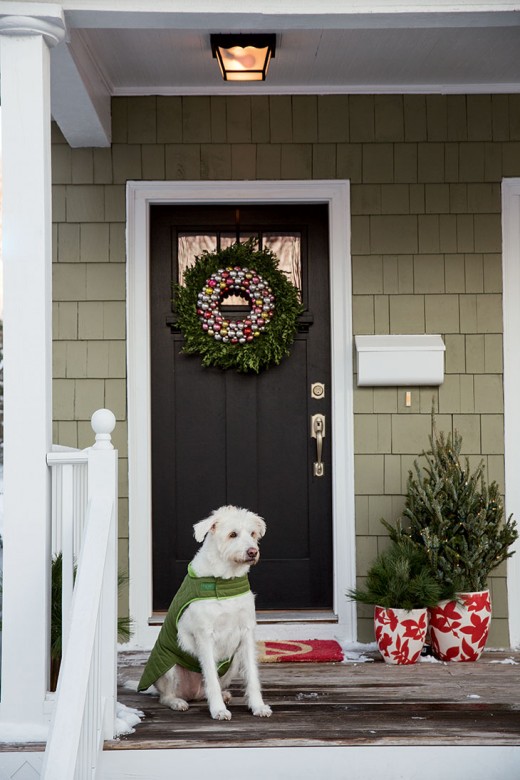 Lucy the family dog greets visitors outside the front door, which showcases a vintage ornament wreath surrounded by a live boxwood wreath from Wilson Farms in Lexington.