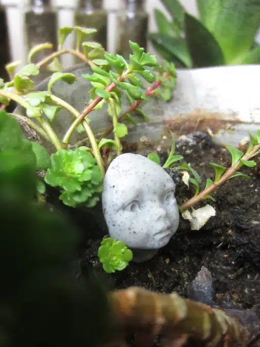 Halloween Houseplant Picks
