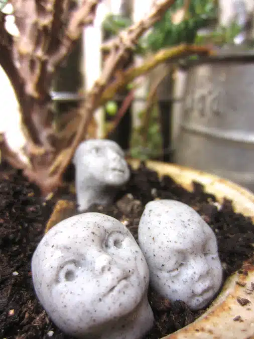 Halloween Houseplant Picks