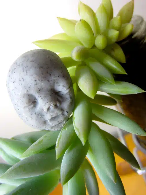 Make extra doll heads to add to the foliage of your plants