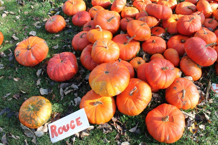 oh la la-- Ben's Rouge pumpkins