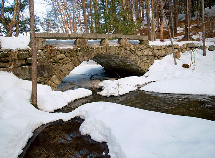 The midwinter beauty of Vaughan Woods is crowned by its arching stone bridge.