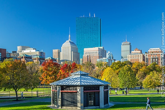 Downtown Boston's Foliage Was Only Nearing Peak This Week, The Latest Place in New England