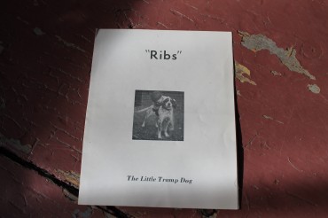 The beginning of Viola's true story of "Ribs" 