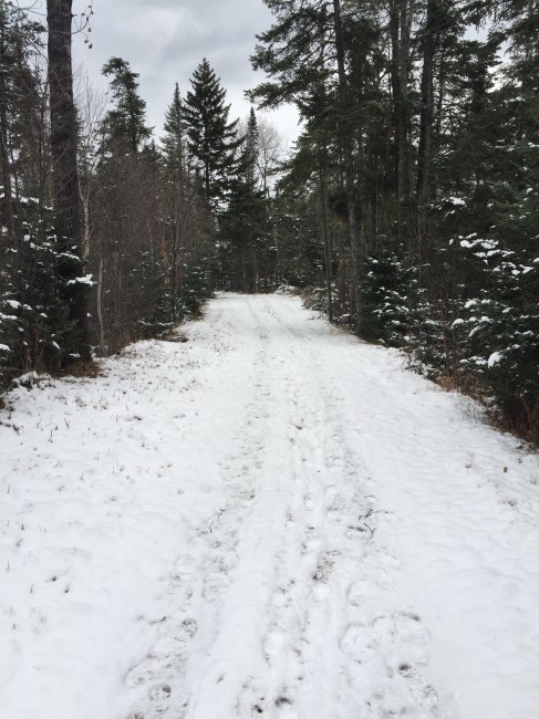 Miles and miles of trails await skiers and walkers.