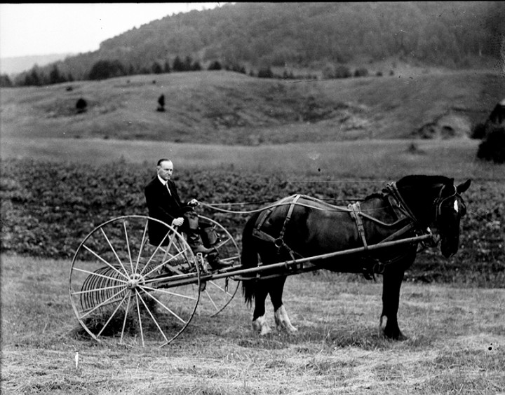 President Calvin Coolidge farming at the family homestead, Vermont.