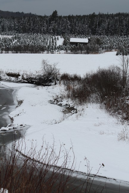 Moffatt's Christmas Tree Farm, Craftsbury, VT