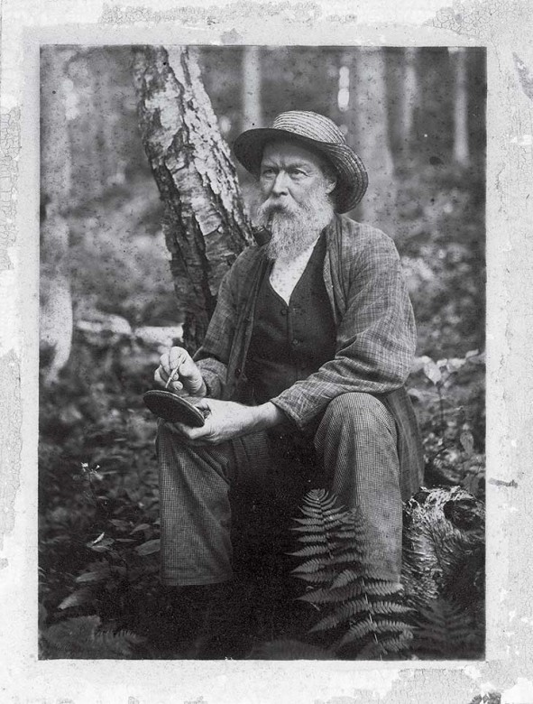 A photo of Rowland Robinson taken by his friend Frank LaManna as they were tramping through the woods; Robinson is drawing on a shelf fungus.