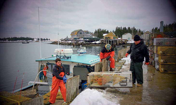 Matinicus lobstermen unload their recently retrieved traps.