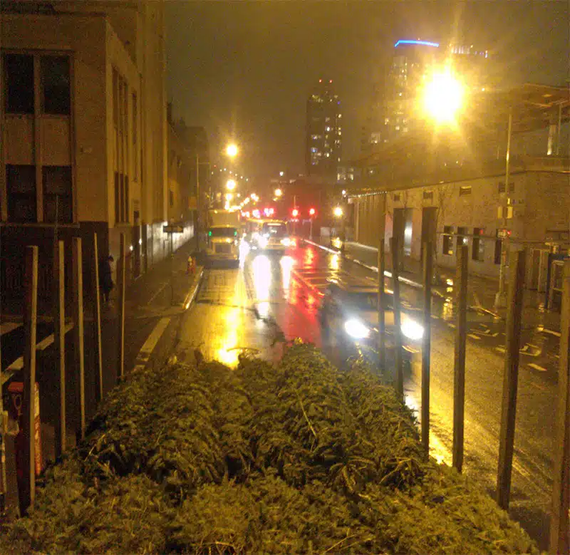 Nighttime city street with wet pavement and lights reflecting on the surface. Several cars and buildings are visible in the background. Piles of discarded evergreen trees are in the foreground.