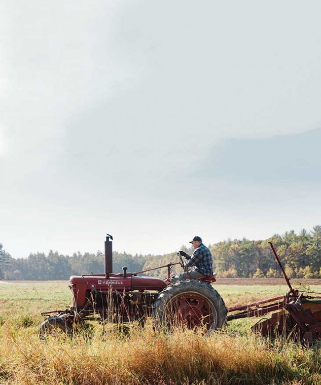 Charley Baer still uses a 1952 International Farmall tractor to tend his bean fields in South Berwick, Maine. He’s one of just 18 dried-bean growers in the state. 