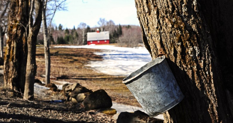 Best New England Maple Festivals & Events