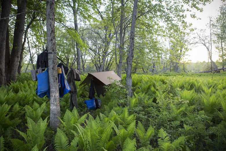 Jason Pardilla’s campsite on Brown Island, a Penobscot Nation Island. Every night of the trip, Pardilla camped in his hammock. He hung his stuff to dry along the lines and ran a tarp overhead to stay dry. 
