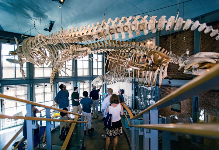 New Bedford Whaling Museum National Historical Park, New Bedford, Massachusetts