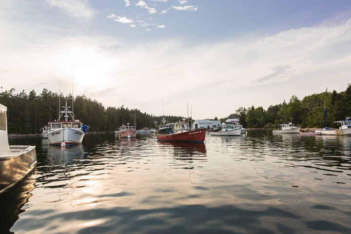 Sunlight washes over the lobster boats in Winter Harbor's classic Maine setting.