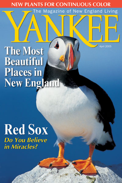 April 2005 | Puffins love the coast of Maine, one of New England's most beautiful places, photo by Jerry & Mary Monkman