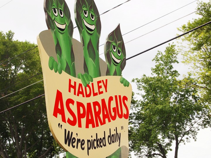Hadley asparagus sign welcomes visitors to the festival.