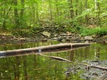 The Legend of Purgatory Chasm - New England Today