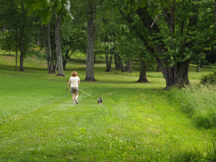 The beautiful field has ample space for visitors to appreciate nature and history.